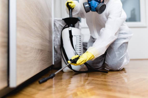 Flea Control Services in Hinton, WV