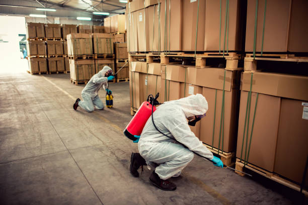Best Residential Pest Control  in Hinton, WV
