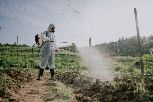 Best Pest Removal Services  in Hinton, WV