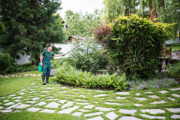 Best Pest Prevention Services  in Hinton, WV